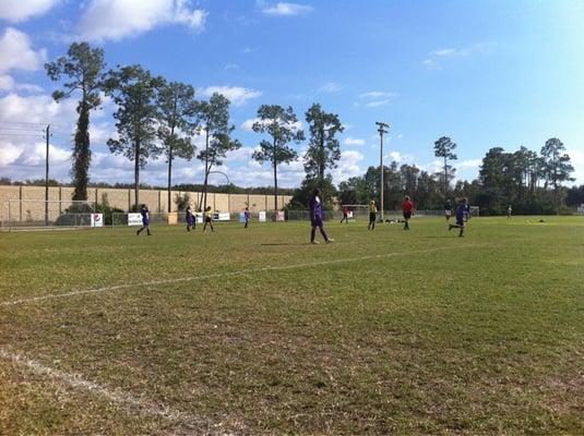 San Carlos Park Scorpion Soccer Club