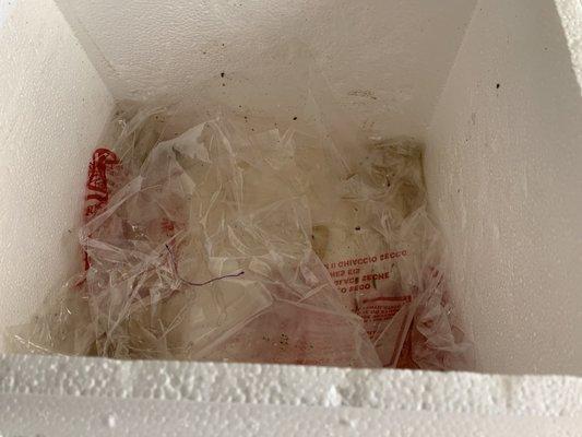 Cooler with melted dry ice bags that was seeped into the cooler and all over the food.