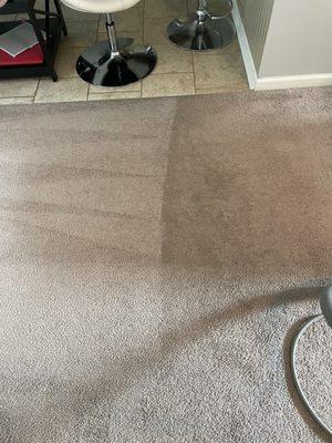 Pure Dry Carpet Care