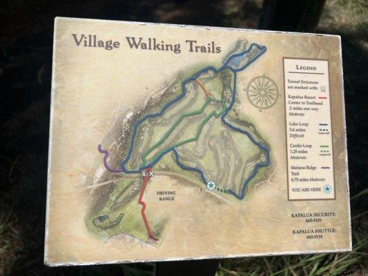 6/3/22 Village Walking Trails, Kapalua walking trails