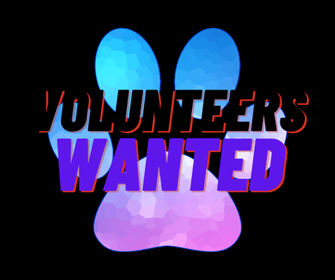 We are always looking for amazing volunteers!!