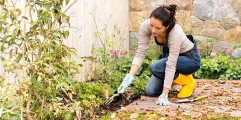 How To Fertilize Your Plants In The Fall