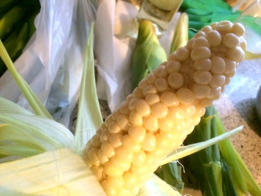 Mutant corn