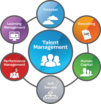 Talent Management