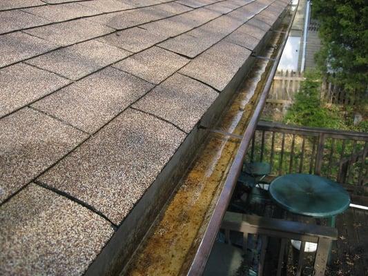 Gutter Cleaning After Pressure Washing