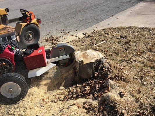 Flash Stump Grinding