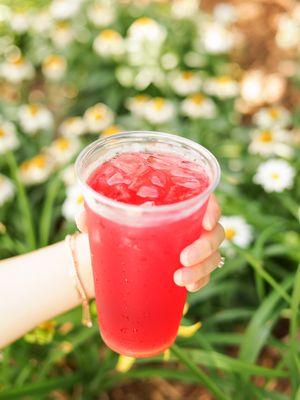 Hibiscus tea (you can also add lemonade to make it an Arnold Palmer)