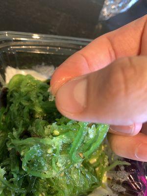 Frozen piece of ice in the seaweed salad.