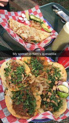 Chicken, barbacoa, and carnitas tacos, and a quesadilla.