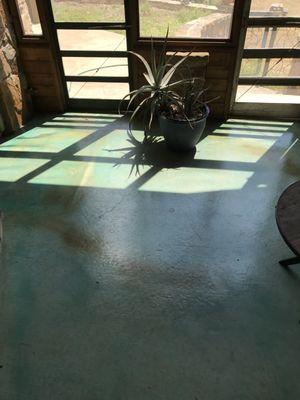 Stained and sealed concrete