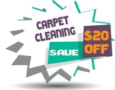 Carpet Cleaning El Lago