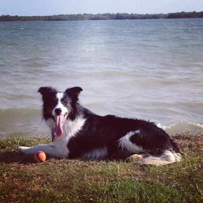 Doug was afraid of the water. Now it's not so bad!