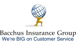 At Bacchus Insurance Group (BIG), we're BIG on Customer Service!