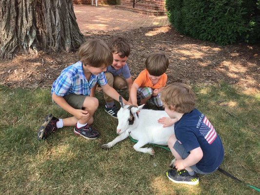 Special guests come to visit the preschool like the petting zoo, Firemen, Puppet Shows, magicians, singers and many more!