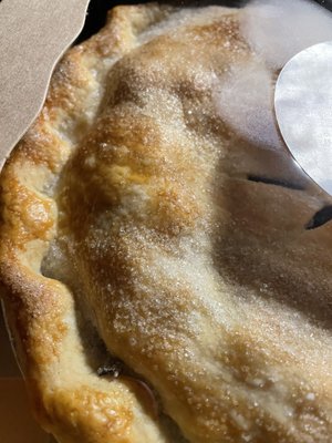 Blueberry double crust