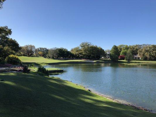 Par 3, #11