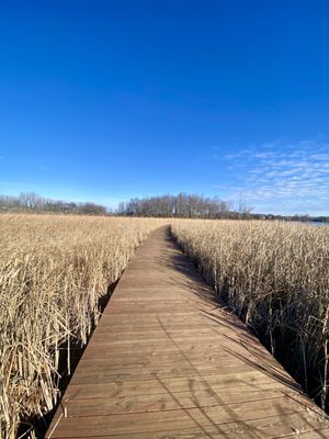 Wassermann Lake Reserve