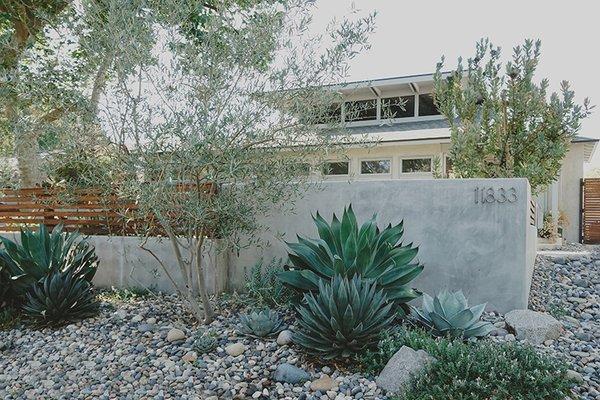 Front wall with fencing, drought tolerant parkway