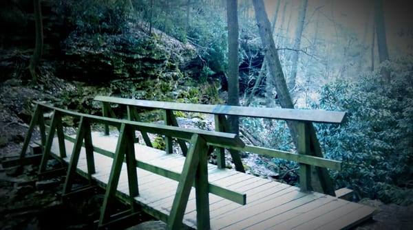 Trough Creek State Park Bridge.