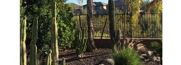 Sonoran Sons Lawn Care