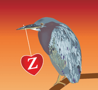 ZBird Creative