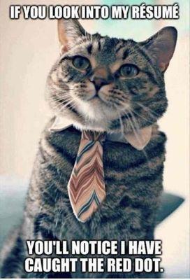 Don't ask....haha!  Just don't go there.  Kitty doesnt like to talk about how the cleaners made his tie shrink.  Not a happy customer.