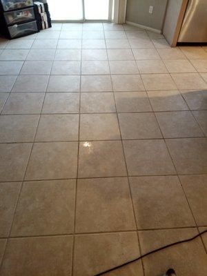 Tile and grout