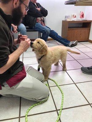 One of our puppy patients!