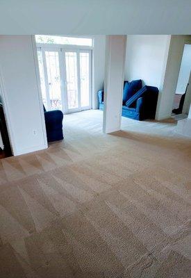 Furniture and Carpet Cleaning