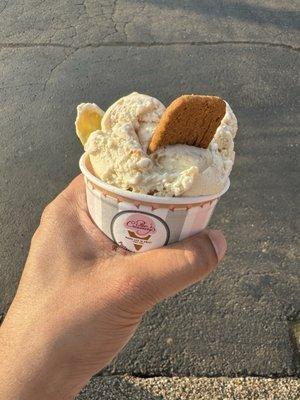 Biscoff ice cream