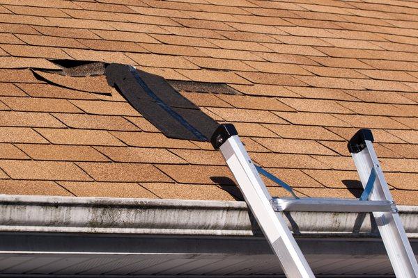 Free leak detection - stop your roof or leak now. Free in home inspections, missing shingles - Public Adjuster