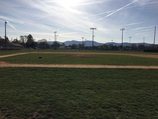 From the dugout