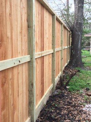 Our new fence!