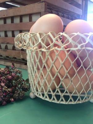 I got this old metal basket to use for my eggs.