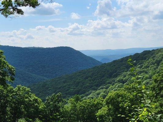 Elk State Forest