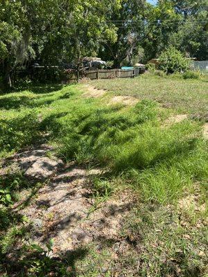 The sod was stolen for the bank of the septic mound