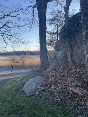 Chaffinch Island Park