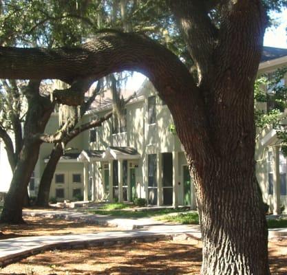 Beautifully landscaped grounds at Springs at Bloomingdale Apartments in Brandon, FL