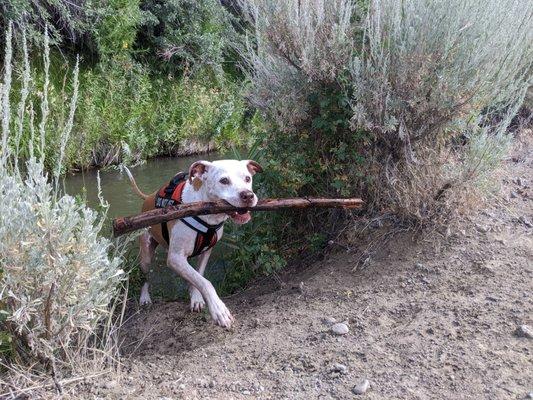 Just a pit and his stick and his aquaduct