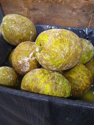 Fresh breadfruit!