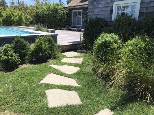 Irregular stone walkway