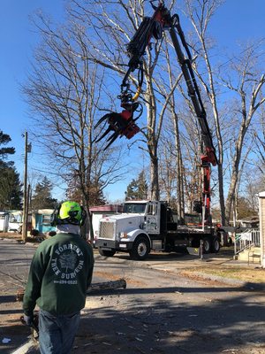 check out the latest tree removal equipment !