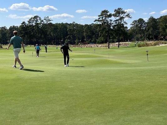 18 hole putting green