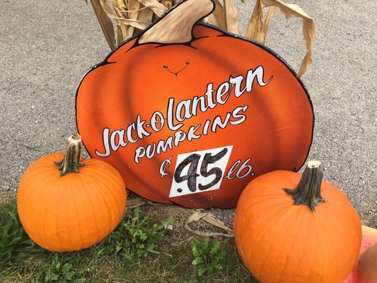 Pumpkin prices on 10/7/17