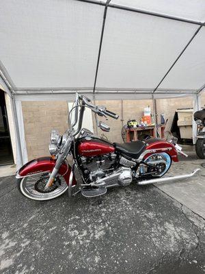 Harley Davidson Softail Deluxe w/ new handle bars