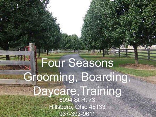 Four Seasons Pet Resort