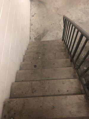 Stairs leading out to garage