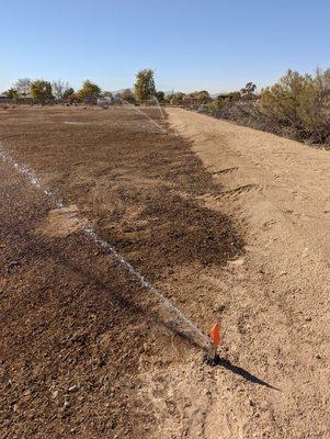 Rotor head installation in preparation for new sod