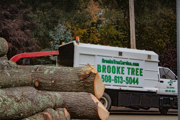 Brooke Tree Service