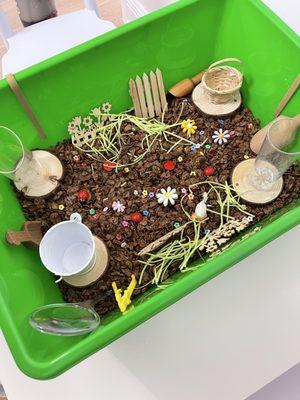 Plant Life Cycle Sensory Bin for toddlers